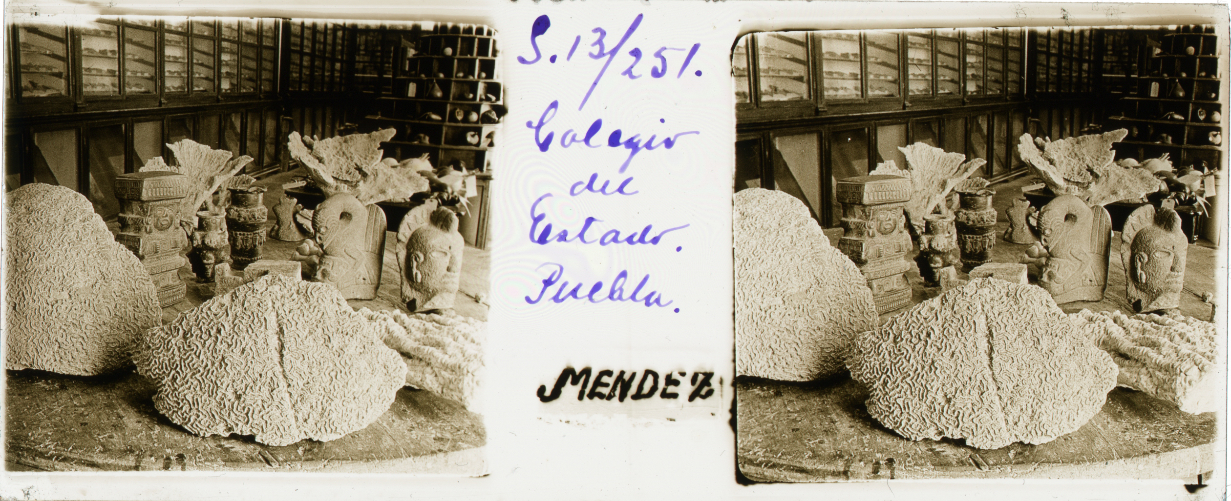 E244 colegio del estado