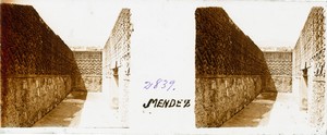E1491