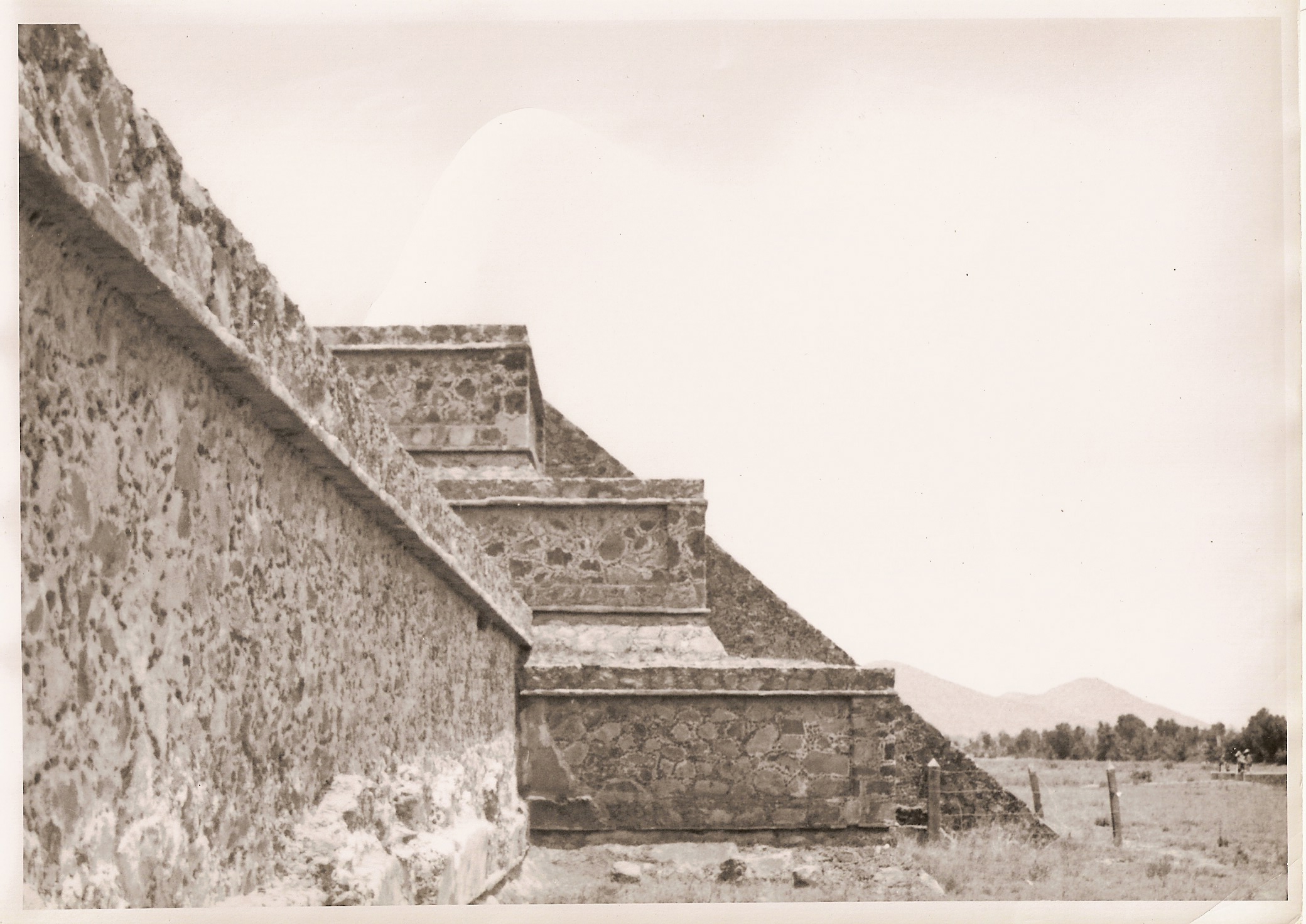 1104 cholula